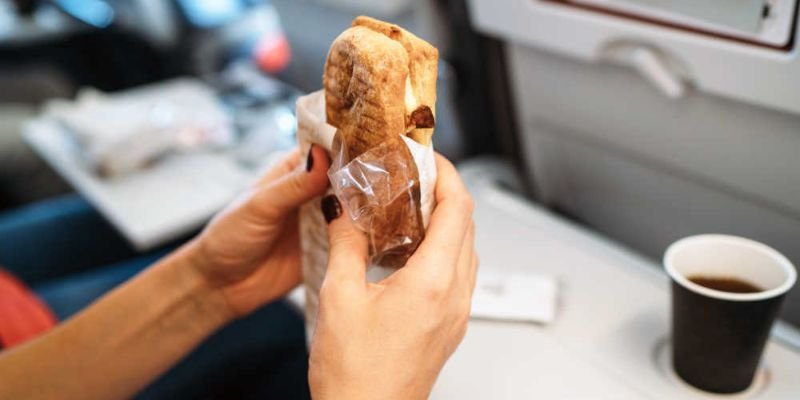 _Can You Bring Food on the Planes