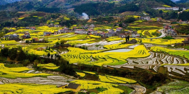 Hanzhong