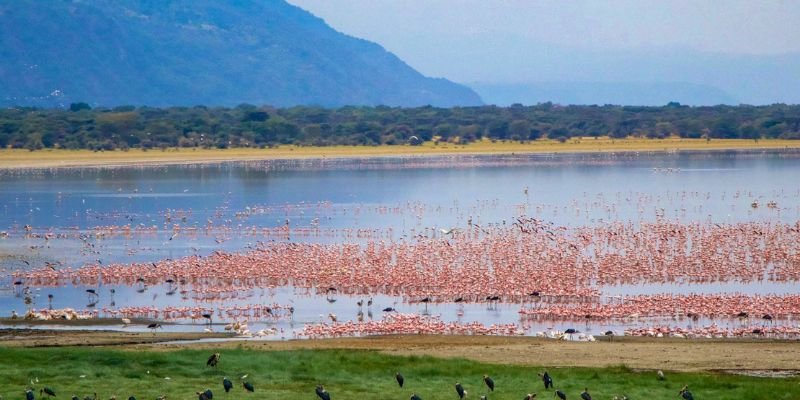 Lake Manyara